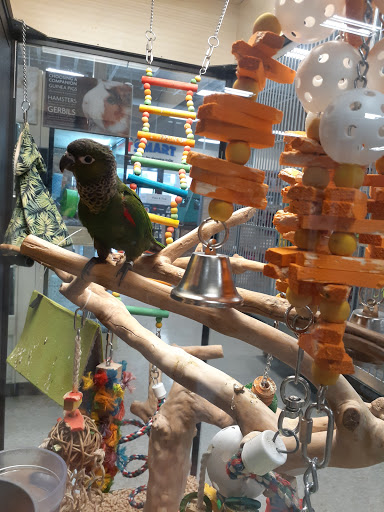 Pet Supply Store «PetSmart», reviews and photos, 1183 Berkshire Blvd, Wyomissing, PA 19610, USA