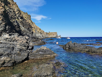 Aloès Plongée à Cerbère