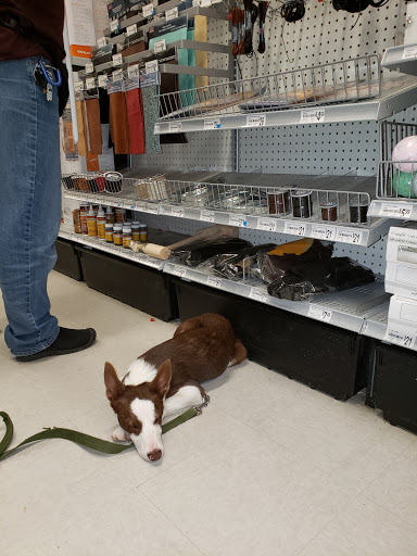 Craft Store «Michaels», reviews and photos, 2785 Bell Rd, Auburn, CA 95603, USA