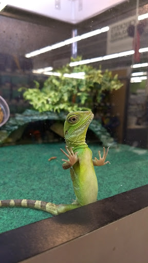 Pet Supply Store «Pet Supplies Plus», reviews and photos, 1810 Declaration Dr, Independence, KY 41051, USA