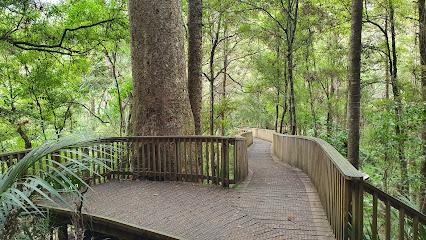 A. H. Reed Memorial Kauri Park