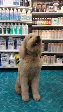 Pinch A Penny Pool Patio Spa - Photo 3 - Car repair in Ocala, FL, Ocala