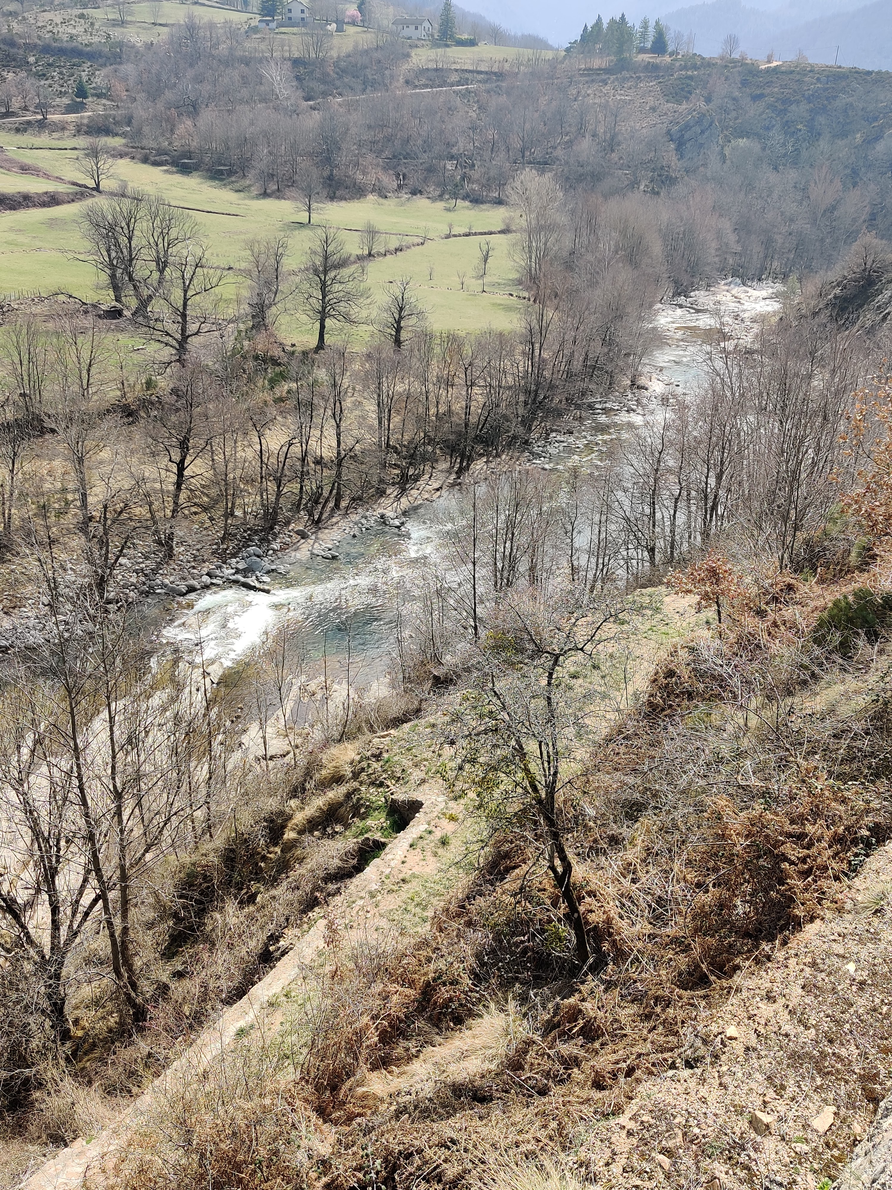 Photo n° 2 de l'avis de Frédéric.e fait le 27/03/2022 à 13:48