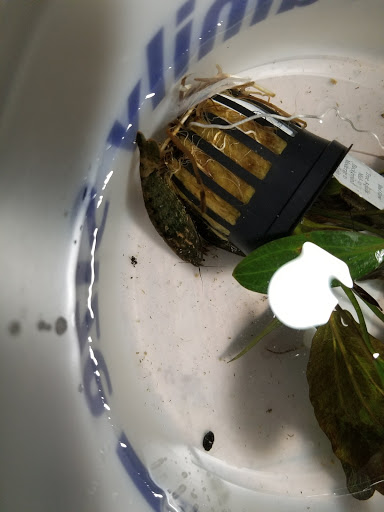 Pet Supply Store «IncrediPet», reviews and photos, 306 Southland Dr, Lexington, KY 40503, USA