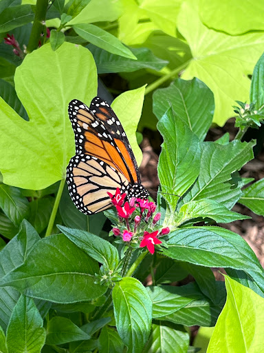 Zoo «Topeka Zoo», reviews and photos, 636 SW Zoo Pkwy, Topeka, KS 66606, USA