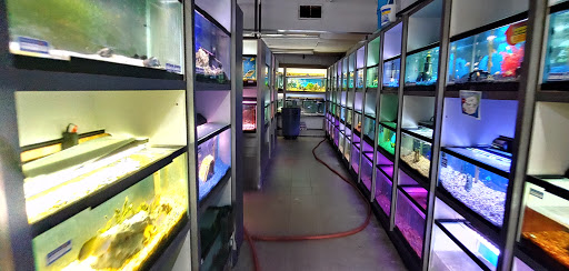 Tropical Fish Store «Something Fishy», reviews and photos, 954 S Wayne Rd, Westland, MI 48186, USA