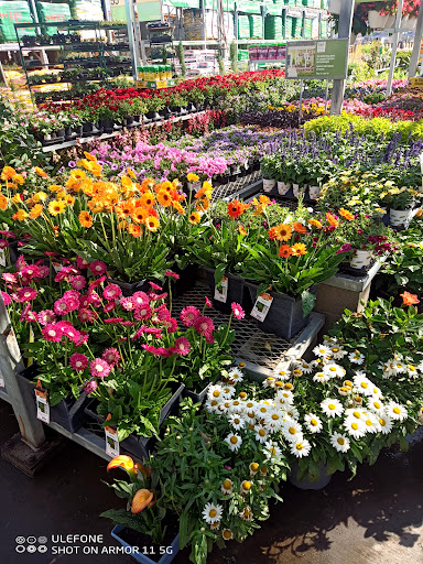 Home Improvement Store «The Home Depot», reviews and photos, 8850 San Ysidro Ave, Gilroy, CA 95020, USA