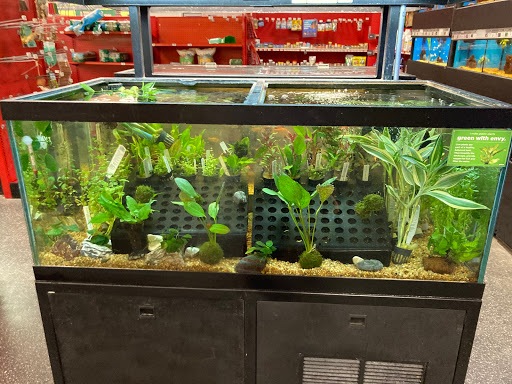 Pet Supply Store «Petco Animal Supplies», reviews and photos, 848 N Colony Rd c, Wallingford, CT 06492, USA