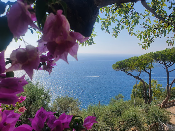 Photos du propriétaire Chambre d'hôtes Bed and Breakfast Domus Liberty 80065 Sant'Agnello