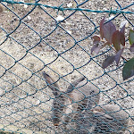 Photo n°1 de l'avis de ALBERTO.L fait le 18/11/2021 à 15:04 sur le  Agriturismo Casale del Marrone à Segni