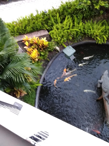 Club «Bay Colony Beach Club», reviews and photos, 8553 Bay Colony Dr, Naples, FL 34108, USA