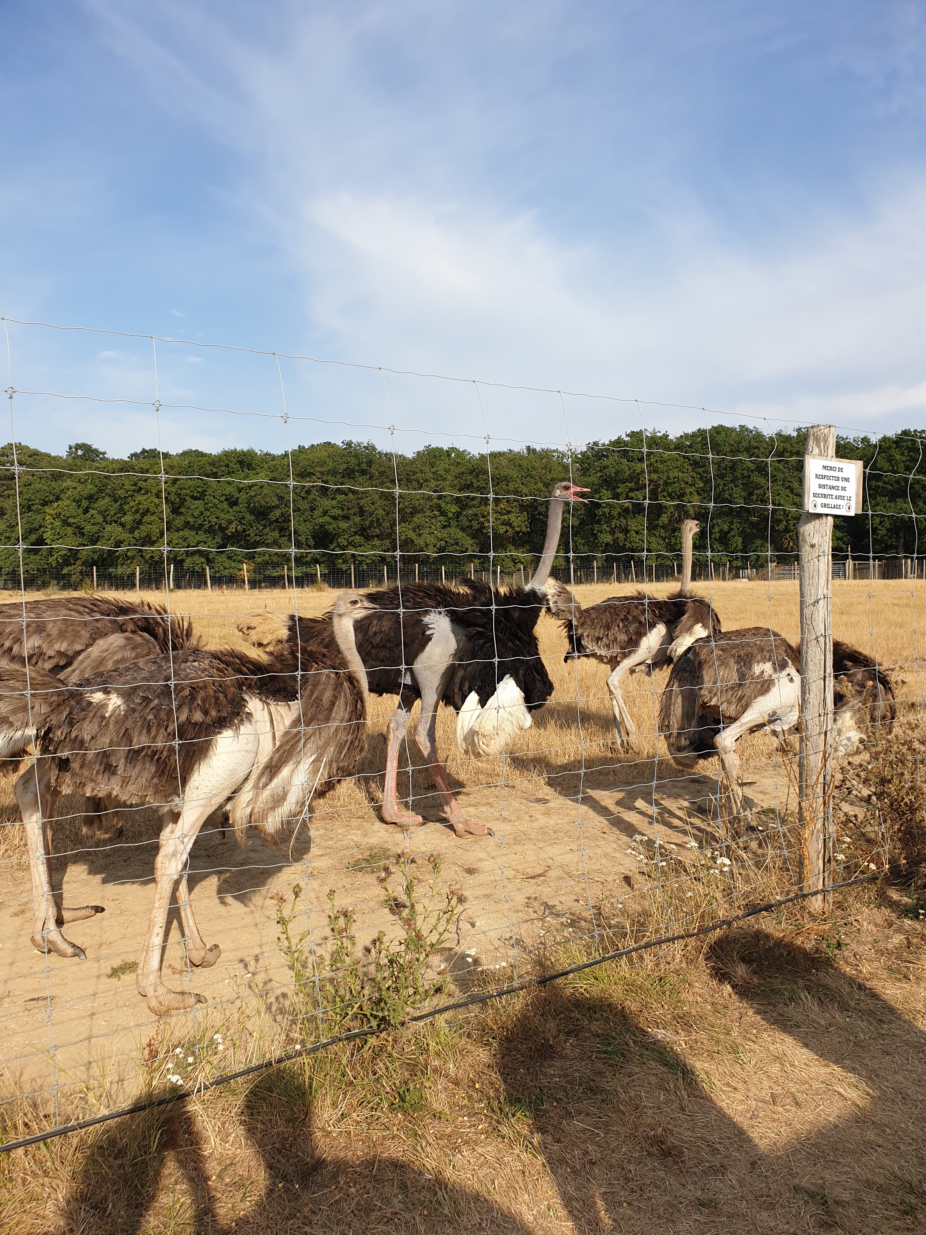 Photo n° 3 de l'avis de S.o fait le 14/08/2020 à 08:34