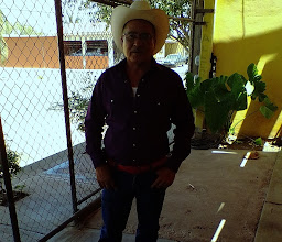 Taquería Delgado photo