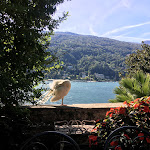 Photo n°1 de l'avis de Saverio.o fait le 25/09/2018 à 06:03 sur le  Hotel Azalea à Baveno