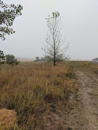 Public Golf Course «Cedar Pointe Golf Course», reviews and photos, 601 S Cedar St, Boone, IA 50036, USA