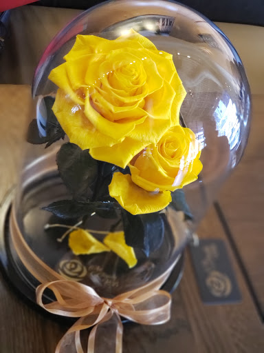 Coffee Shop «Starbucks», reviews and photos, 1508 N Westshore Blvd, Tampa, FL 33607, USA