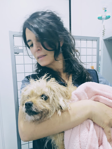 Clínica Veterinaria L'eriçó Blau en Sant Hilari Sacalm