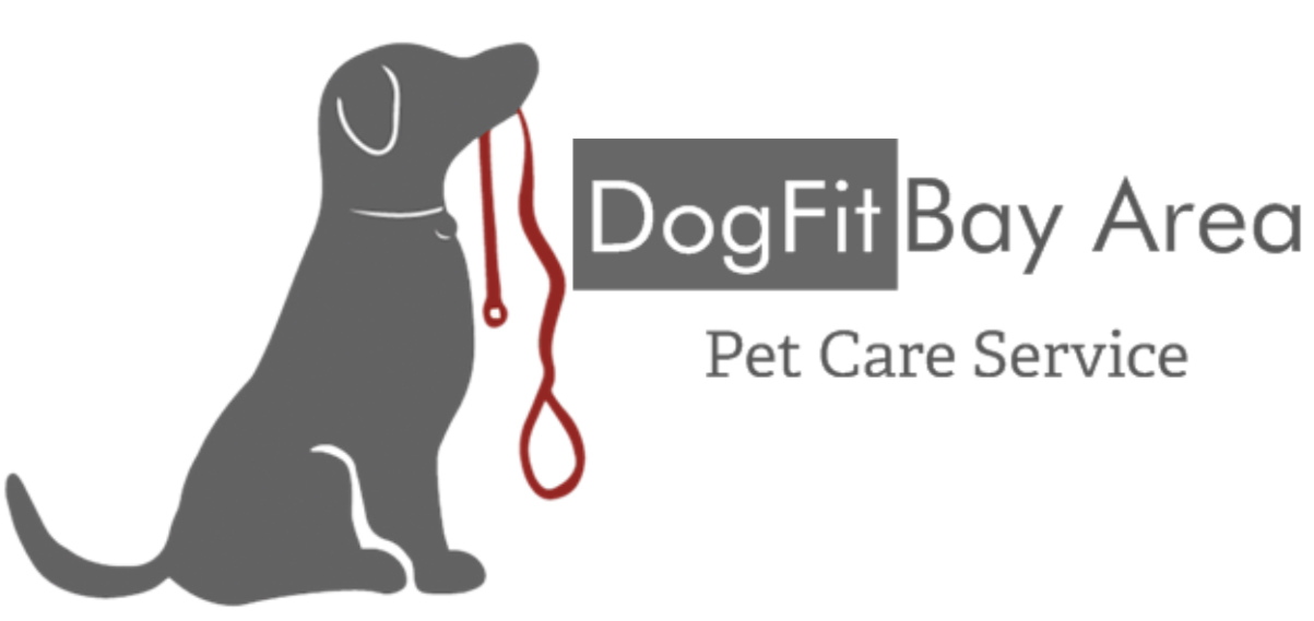 DogFit Bay Area