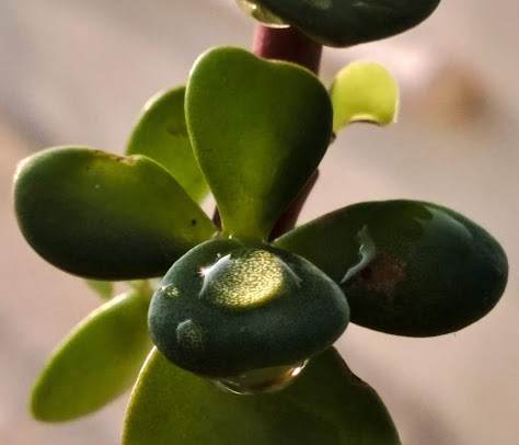 Google Maps image 28