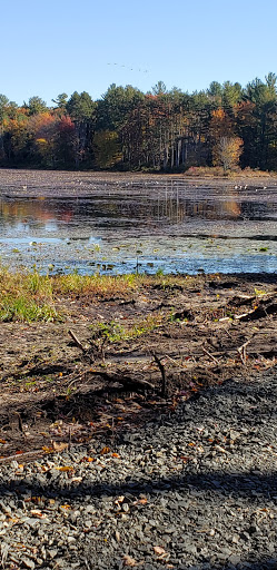 Parking – Massacoe State Forest – Great Pond