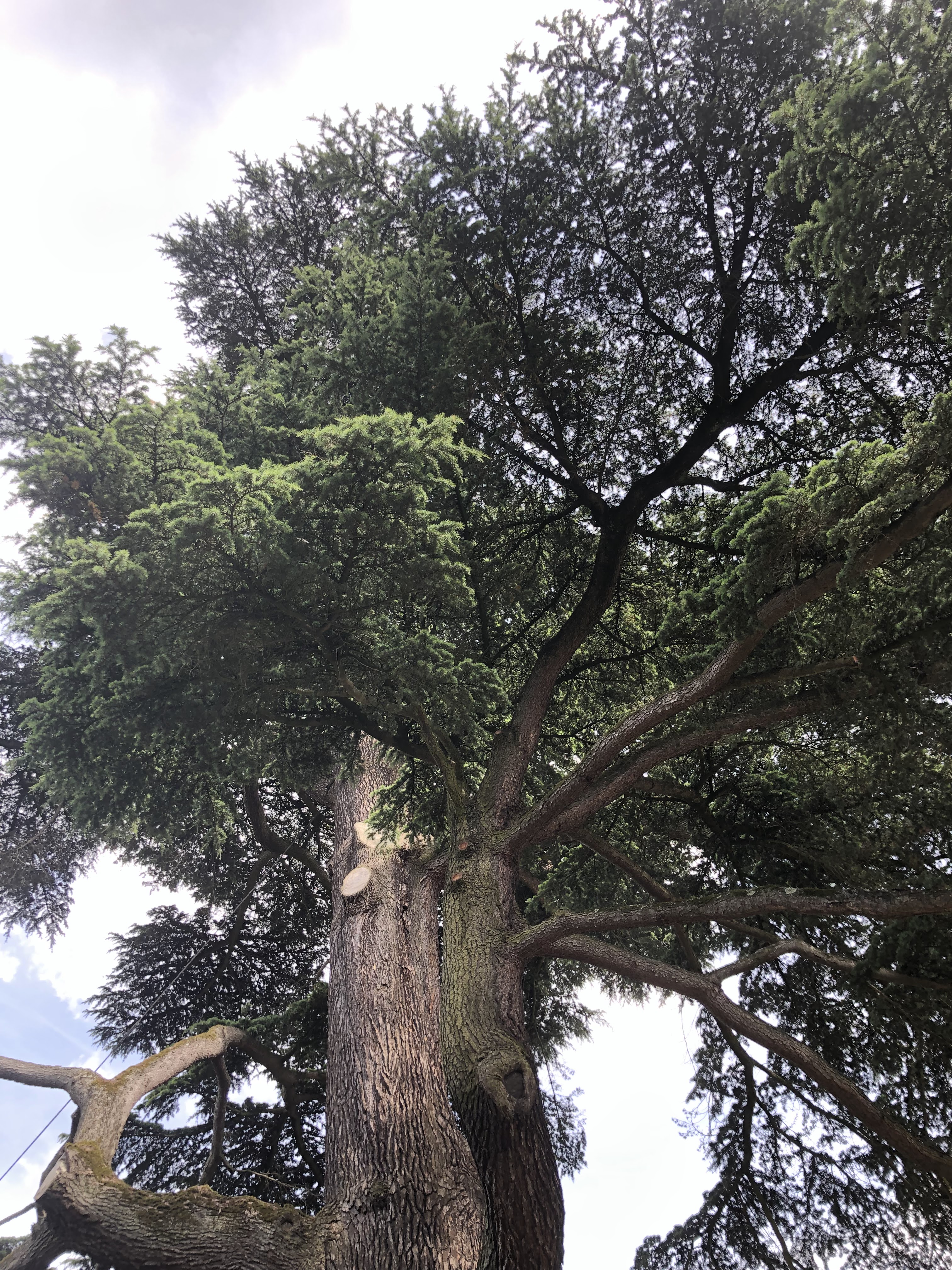 Photo n° 2 de l'avis de Denis.u fait le 18/06/2019 à 20:16