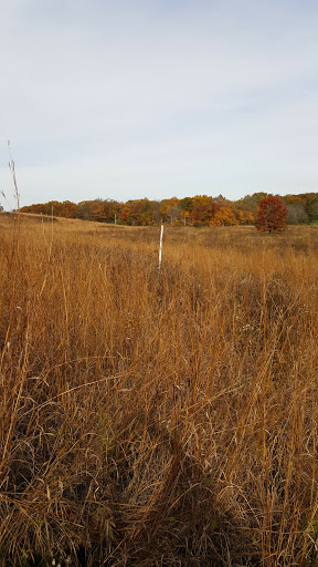 Nature Preserve «Messenger Woods Nature Preserve», reviews and photos, 13800 W Bruce Rd, Homer Glen, IL 60491, USA