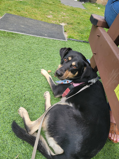 Brewery «Newburyport Brewing Company», reviews and photos, 4 New Pasture Rd, Newburyport, MA 01950, USA