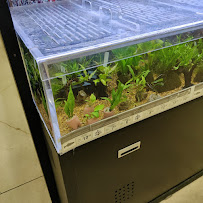 Petco - Photo 9 - Car repair in Aguadilla, Puerto Rico, Aguadilla