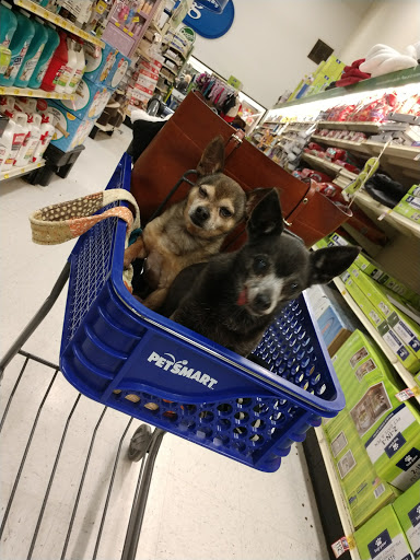 Pet Supply Store «PetSmart», reviews and photos, 4731 Commercial Dr, New Hartford, NY 13413, USA