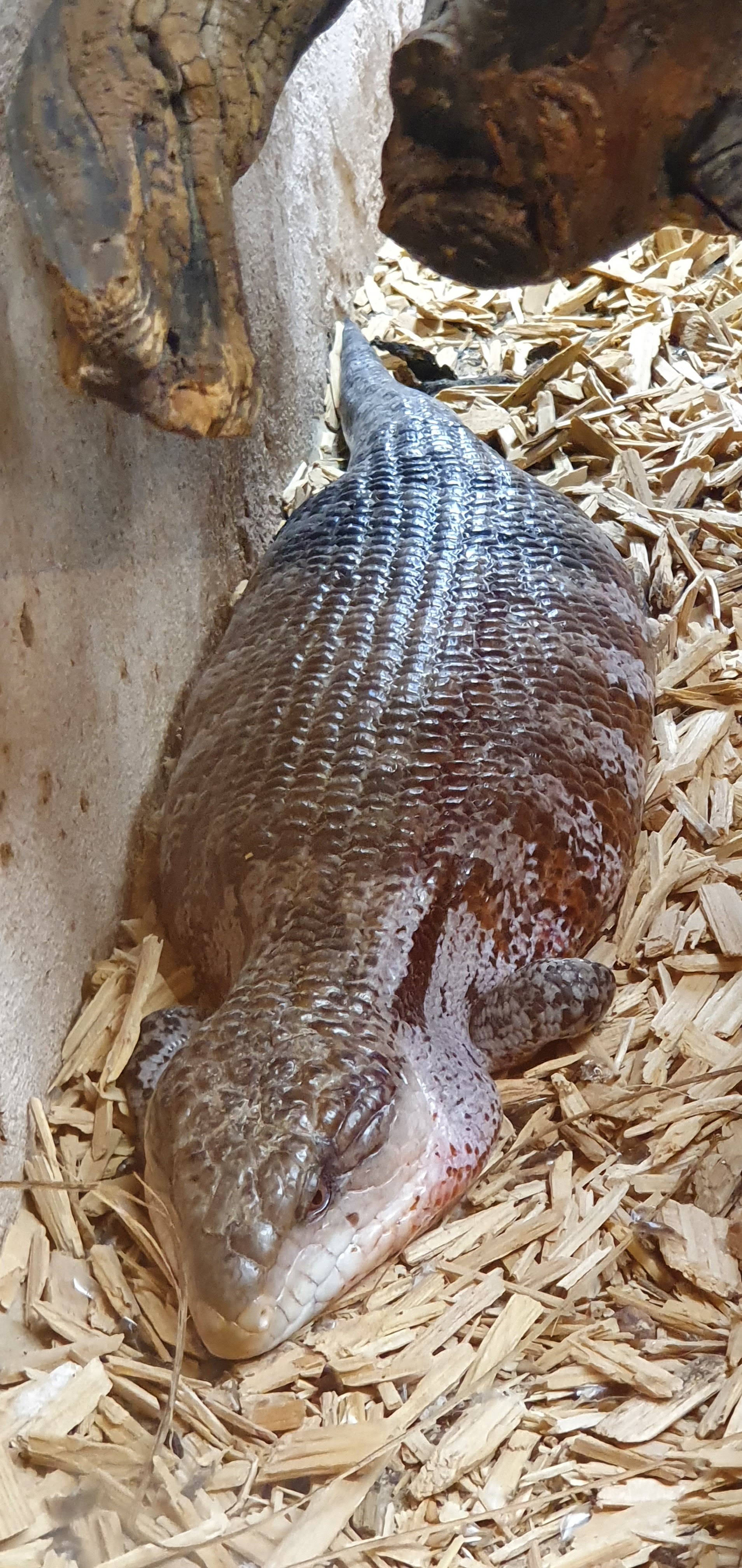 Photo n° 18 de l'avis de Laëtitia.E fait le 25/07/2020 à 00:11