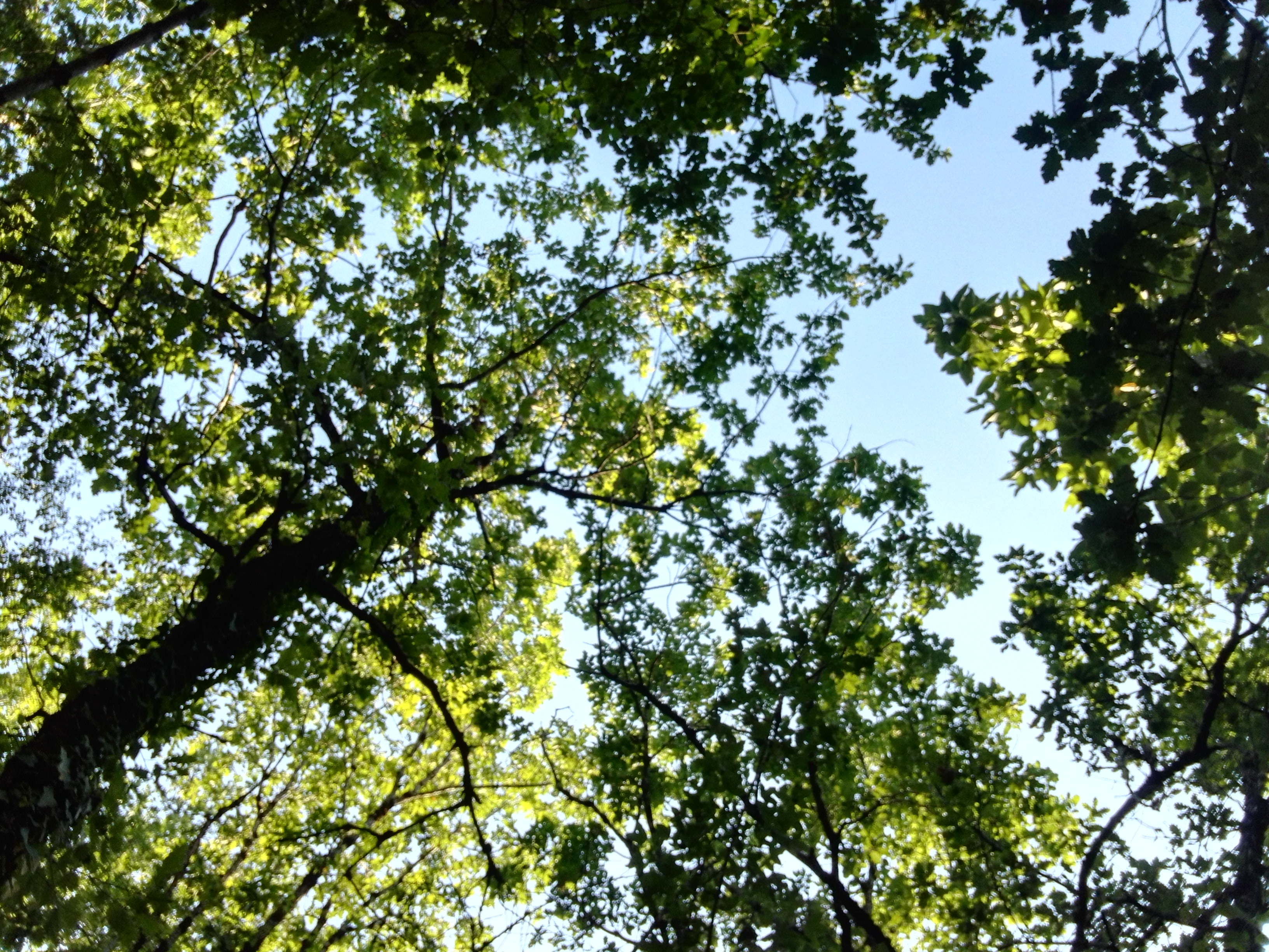 Photo n° 17 de l'avis de Elie.d fait le 15/07/2019 à 19:32