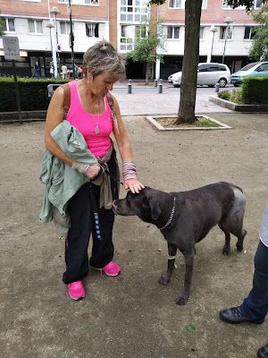 Clinique Vétérinaire Les Bestioles à Ivry-sur-Seine