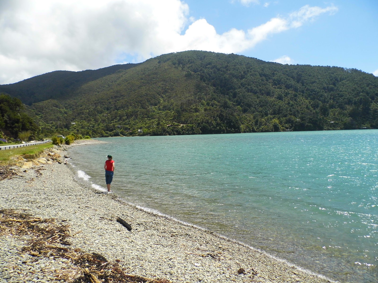 Okiwi Bay Beach'in fotoğrafı çok temiz temizlik seviyesi ile
