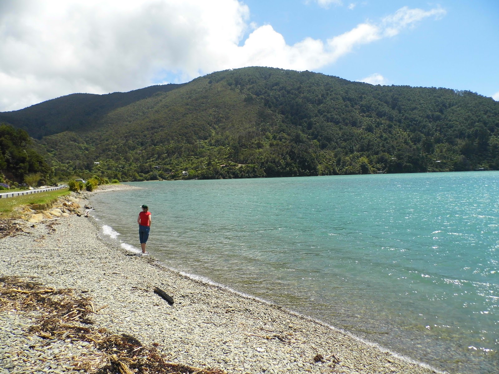 Foto de Okiwi Bay Beach con bahía mediana