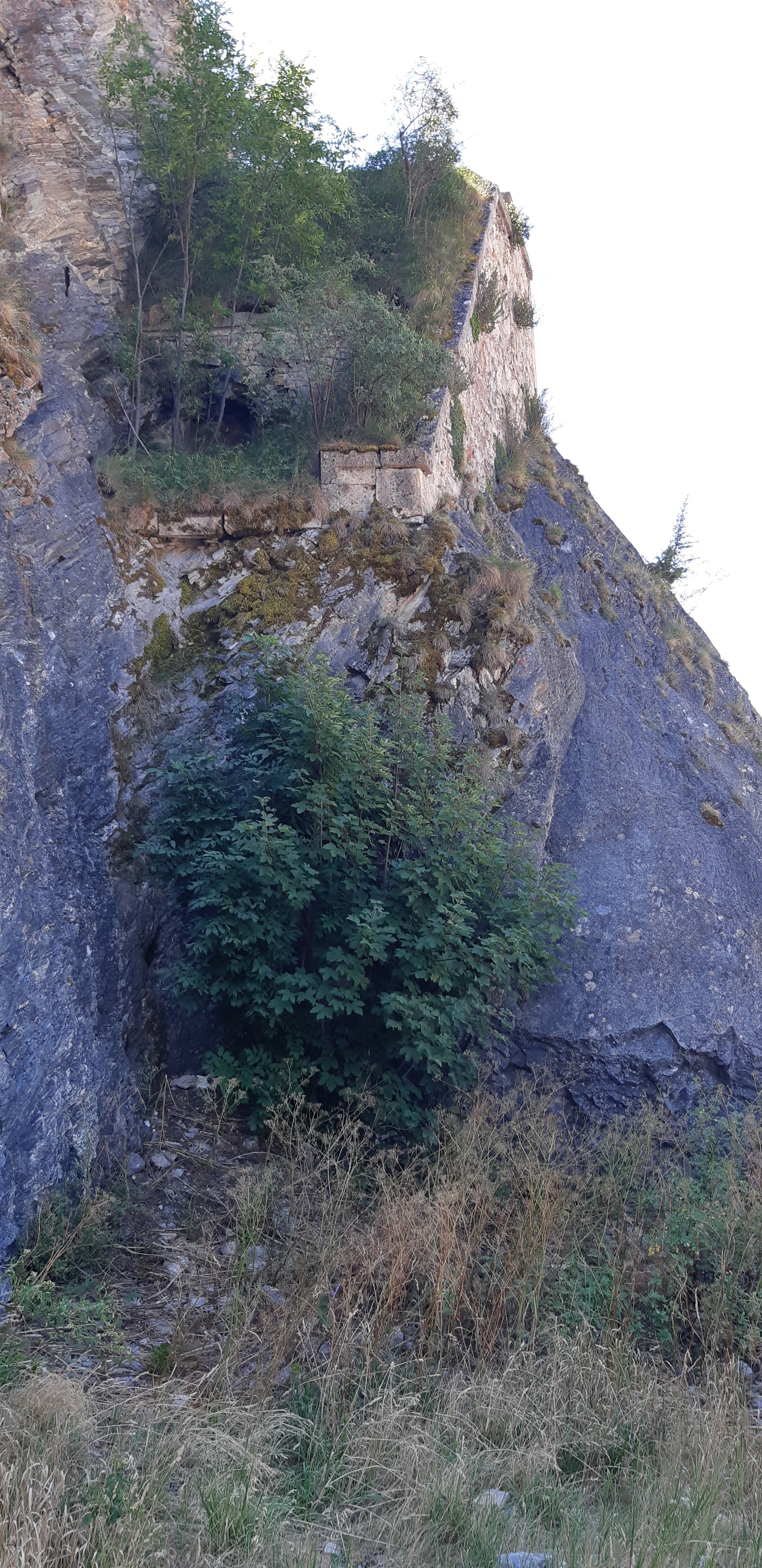 Photo n° 2 de l'avis de Jean-Luc.e fait le 24/07/2022 à 11:33