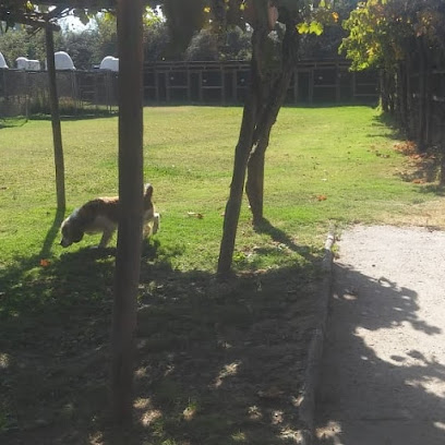 Servicio de embarque de mascotas