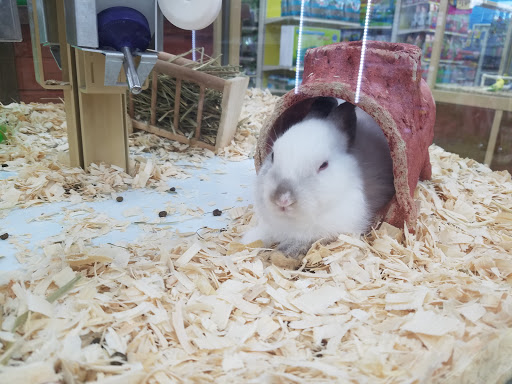 Pet Supply Store «Pet Supermarket», reviews and photos, 2090 E Arapaho Rd, Richardson, TX 75081, USA