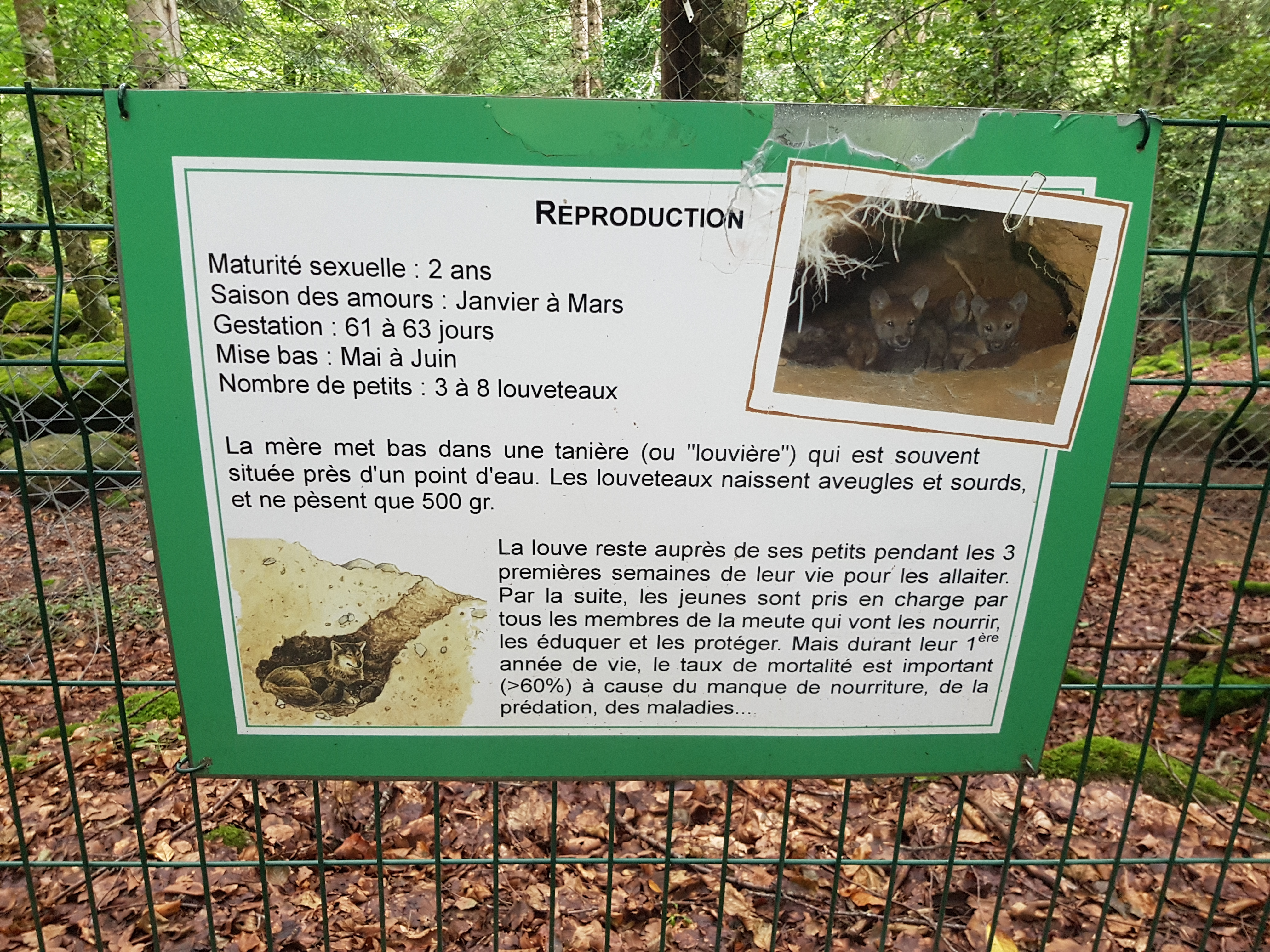 Photo n° 9 de l'avis de Eric.e fait le 12/08/2018 à 14:15