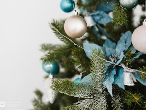 Florist «Phoebe Floral Shop», reviews and photos, 2102 Hamilton St, Allentown, PA 18104, USA