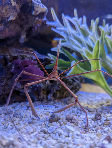 Pet Store «Pet Paradise Grooming», reviews and photos, 1115 Pueblo Blvd Way, Pueblo, CO 81005, USA