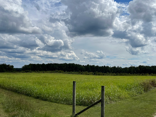 Real Estate Agency «Hank Cosby Real Estate», reviews and photos, 3812 Old Buckingham Road, Powhatan, VA 23139, USA