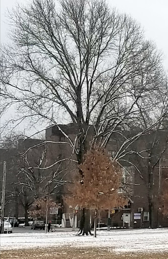 Park «Marine Park», reviews and photos, Fillmore Ave, Brooklyn, NY Brooklyn, USA