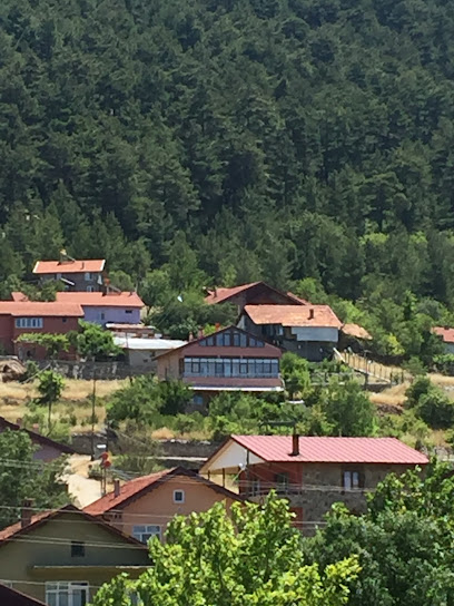 Günyaka Köyü Cami