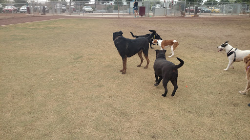 Park «Pioneer Community Park», reviews and photos, 8755 N 83rd Ave, Peoria, AZ 85345, USA