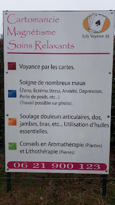 Lyly Voyance 45 à Bray-Saint-Aignan