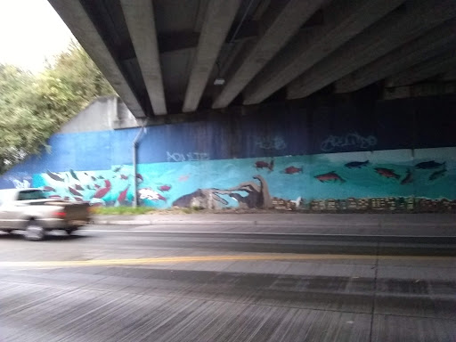 Park «Cesar Chavez Park», reviews and photos, 700 S Cloverdale St, Seattle, WA 98108, USA