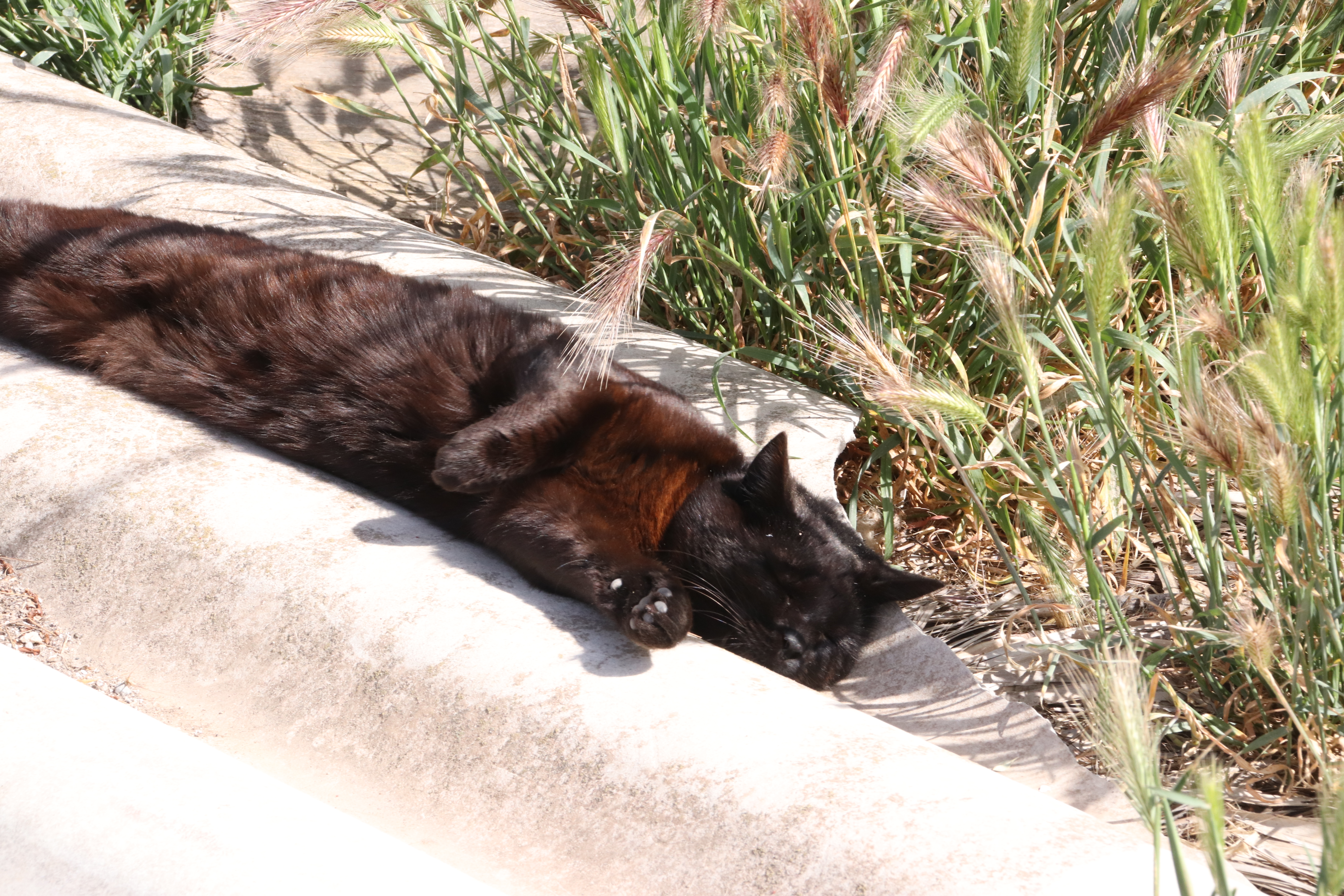 Photo n° 8 de l'avis de Thierry.n fait le 30/04/2019 à 09:52