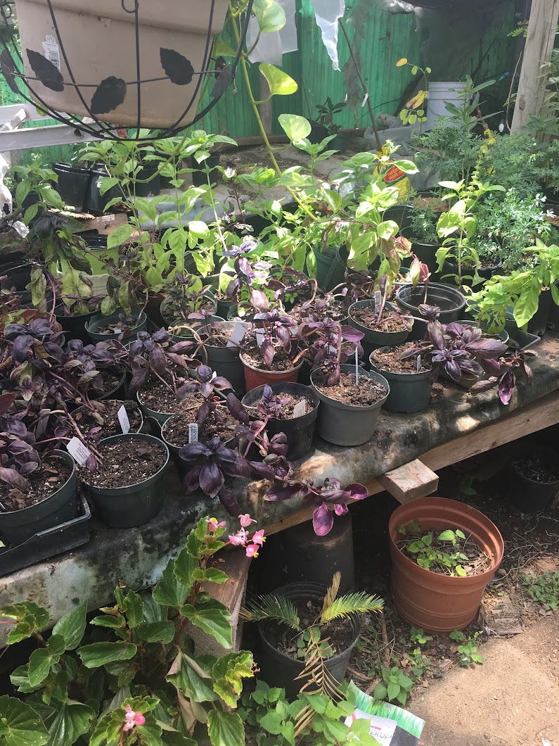 Santos Nursery