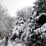 Photo n°7 de l'avis de Dea.a fait le 02/12/2023 à 07:12 sur le  Hotel am Kurpark Brilon Feelhome Hotels GmbH à Brilon