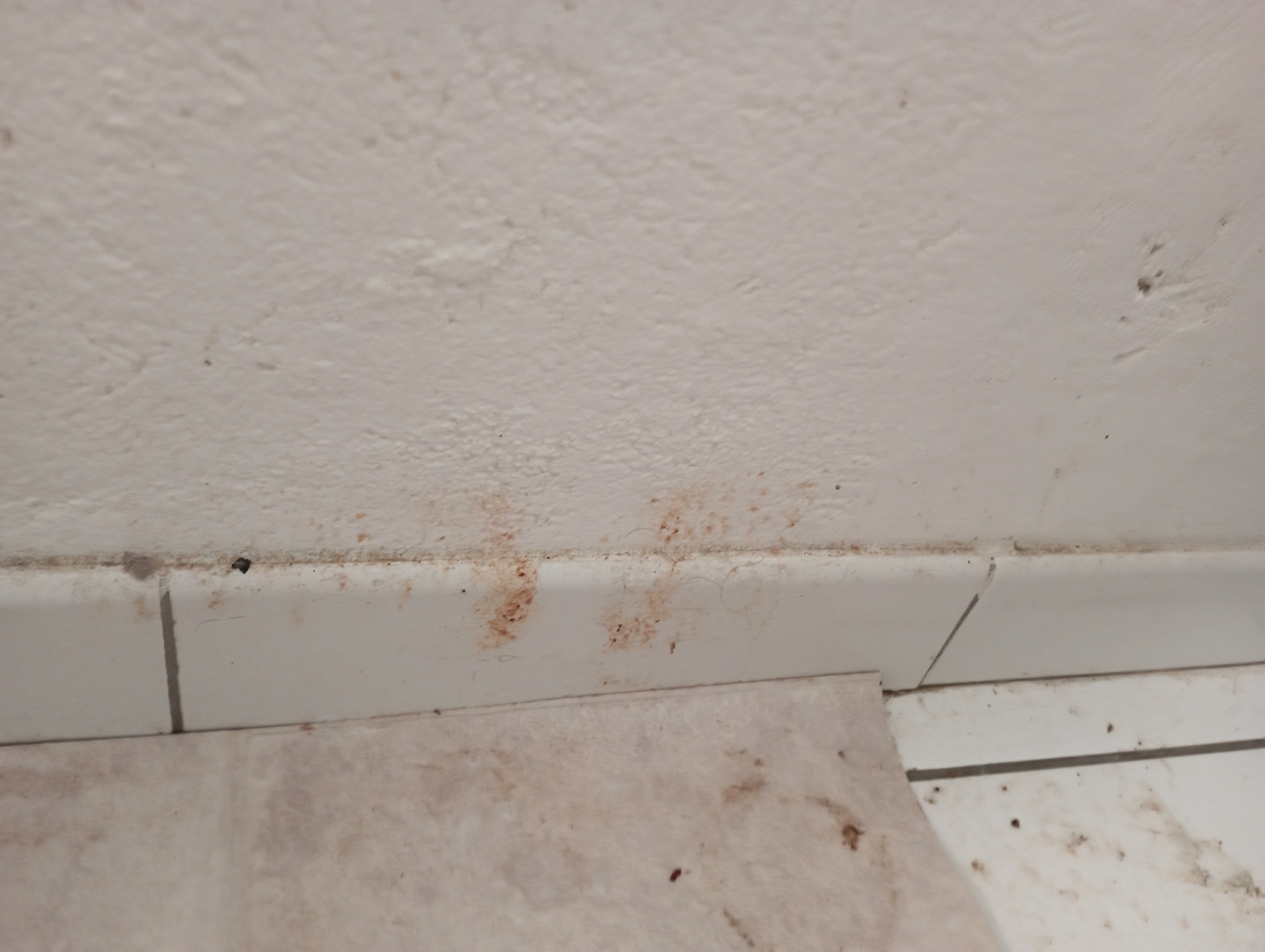 Photo n° 6 de l'avis de Hélène.i fait le 23/12/2022 à 13:33